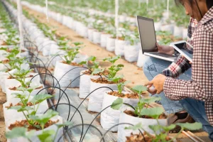 Types of remote sensing in agriculture showing NDVI imagery and field-level crop health insights for precision farming