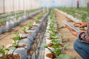 Smart irrigation system using IoT sensors and data analytics to optimize water usage and improve efficiency